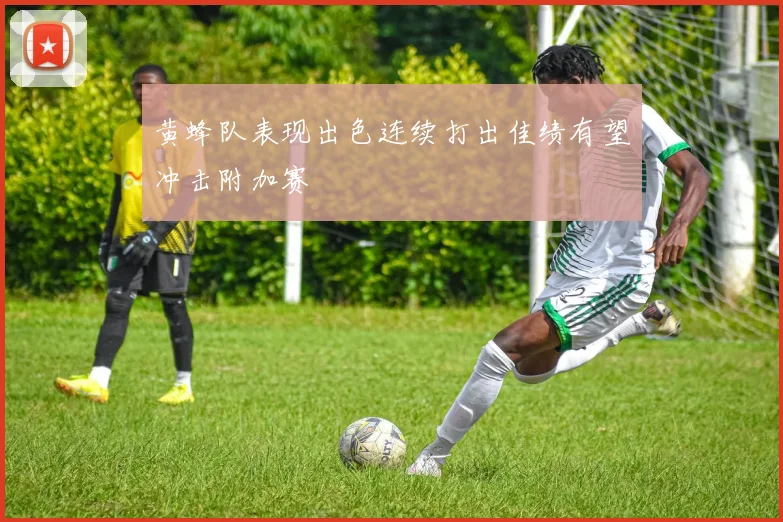 黄蜂队表现出色连续打出佳绩有望冲击附加赛