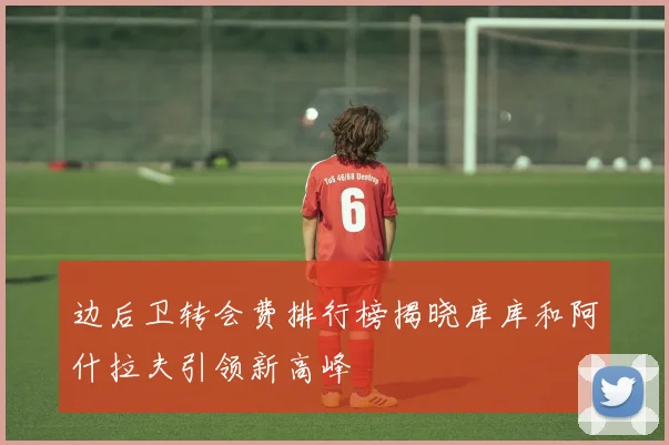 边后卫转会费排行榜揭晓库库和阿什拉夫引领新高峰