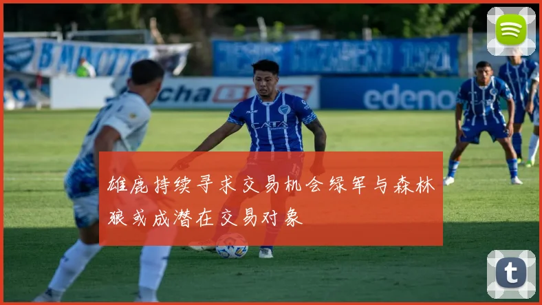 雄鹿持续寻求交易机会绿军与森林狼或成潜在交易对象